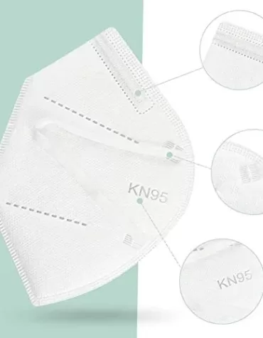 WSX N95 MASKS MUZAFFARPURESHOP