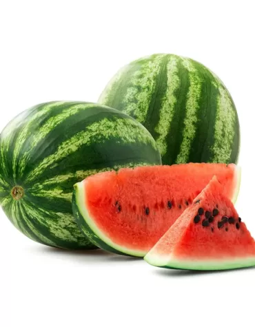 Water melon muzaffarpureshop