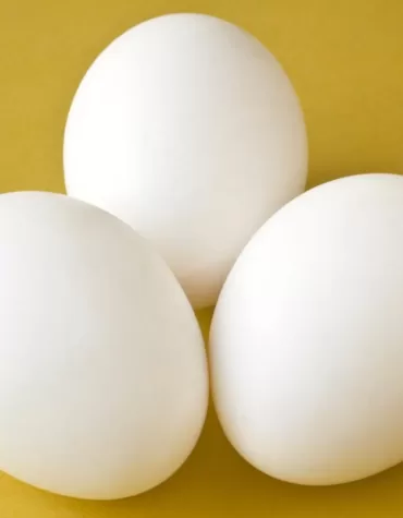 Fresh Egg