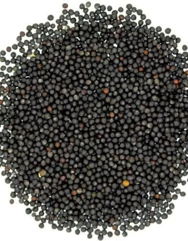 black sarso