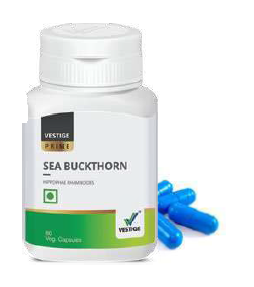 sea buckthorn