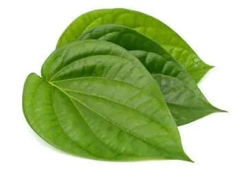 Pan Patta